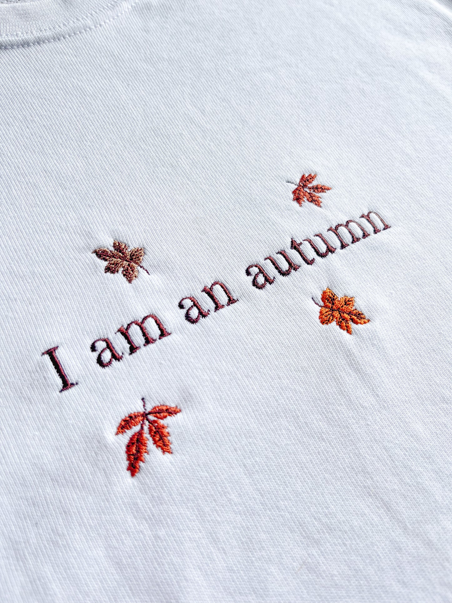 I Am An Autumn Sweater