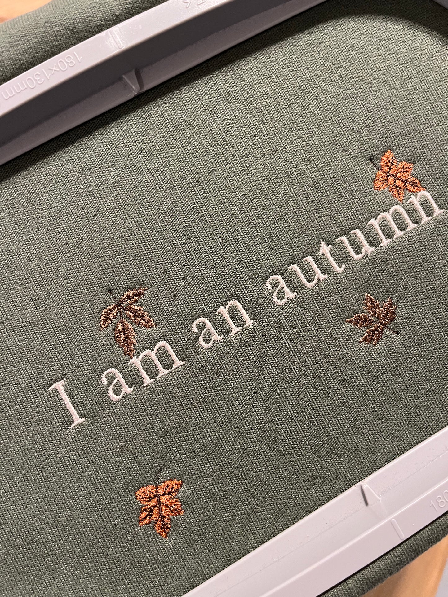 I Am An Autumn Sweater